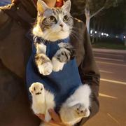 宠物包外出便携双肩包猫咪胸前包折叠猫包小型犬户外旅行背包狗包