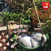 户外庭院树脂创意，动物秋千仿真兔子，花园景观装饰挂件