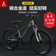 上海凤凰儿童自行山地车24寸镁合金，双碟刹中大童，男女同学宝宝单车