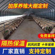 养殖大棚全套养鸡棚鸡舍猪棚牛棚羊棚鸭棚鹅棚养殖棚专用钢管骨架