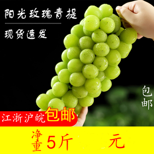 马陆葡萄上海巨峰葡萄，巨玫瑰奶油阳光玫瑰，新鲜水果整箱上海