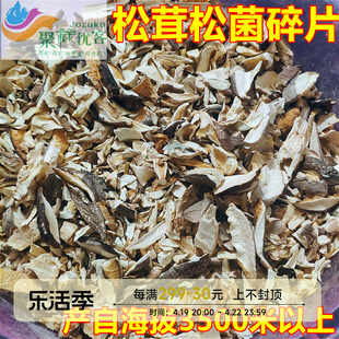 西藏特产西藏林芝松茸干货松茸松菌碎片250g无泥沙西藏