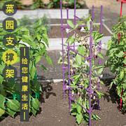 番茄架子西红柿爬藤架黄瓜支撑杆，固定菜园种菜阳台，种植花盆花支架