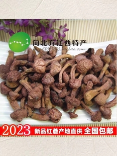 东北特产红蘑野生红蘑菇干货肉蘑松树伞钉松蘑菇500g