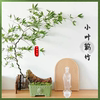 小叶簕竹根桩室内高端绿植盆栽桌面生桩四季茶几造景老桩观赏竹子