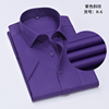 夏季纯紫色衬衫男短袖商务休闲职业工装纯色衬衣男寸衫打底衫免烫