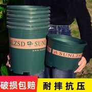 家用塑料花盆加厚客厅阳台盆景花盆多肉加仑盆绿萝吊兰专用盆栽盆