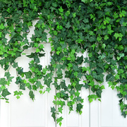 仿真爬山虎藤条装饰叶子绿植塑料藤蔓植物树叶假花挂墙壁管道绿叶