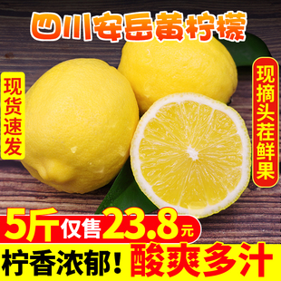 四川安岳黄柠檬(黄柠檬，)5斤新鲜水果皮薄，一级香水鲜柠檬青特产