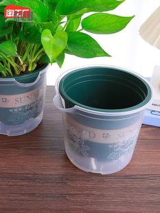 绿萝自动吸水花盆专用透明塑料，一加仑水培套盆家用防烂根懒人花盆