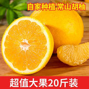常山胡柚20斤10斤新鲜当季水果浙江衢州特产非葡萄柚西柚柚子