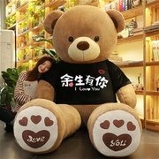 爱尚熊毛绒(熊毛绒)玩具，泰迪熊猫抱枕公仔布娃娃玩具，女孩抱抱熊玩偶抱枕大
