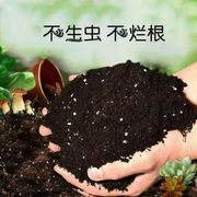 花泥绿萝%种菜蝴蝶兰，菜花卉盆栽月季花，有机园艺植物泥土家用花肥
