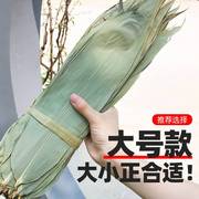 棕叶大粽子叶特大包粽子的叶子干大号端午节新鲜宽粽100片商用