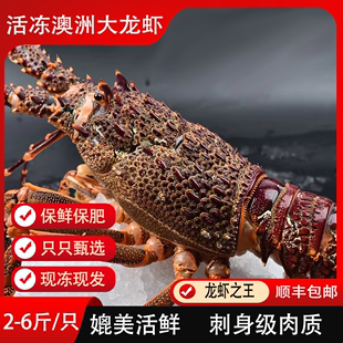 澳洲大龙虾活冻大澳龙特大(龙特大)速冻红火龙虾，海鲜水产澳洲龙虾鲜活速冻