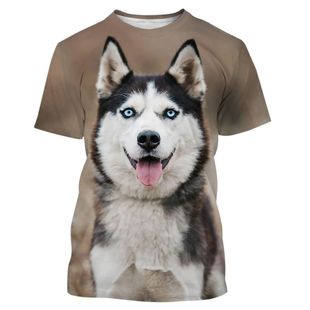 Husky 3D print short sleeve T-shirt 哈士奇3D印花 男生短袖T恤