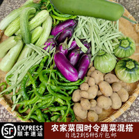 农家蔬菜湖南新鲜自选混搭辣椒茄子，黄瓜丝瓜南瓜瓜果