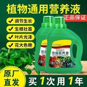 营养液植物通用型土培水培，盆栽花卉绿萝富贵竹，发财树液体养花肥料