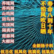 养鸡网拦鸡网围网养殖网菜园围网山鸡网防鸡网拦鸡网围栏网尼龙网