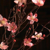 桃花落地干花树枝树枝，装饰干花枝干花花束，真花干枝干花客厅装饰