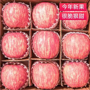 正宗陕西洛川苹果水果新鲜当季整箱红富士冰糖心特级脆甜10斤