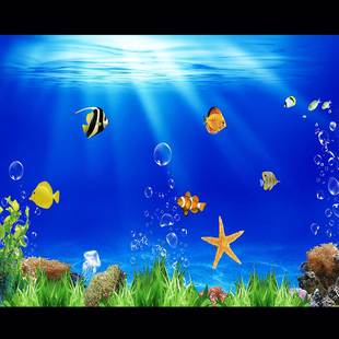鱼缸背景贴纸高清图3d立体背景，画水族箱壁纸，海底世界造景自粘画