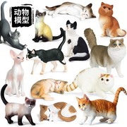 儿童玩具仿真实心动物，模型波斯猫布偶猫咪短毛猫，黑白小猫家居摆件