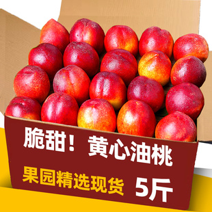 黄肉油桃5斤应季大桃子新鲜水果当季水密桃整箱黄心蜜脆桃10