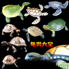 大号仿真模型玩具乌龟海龟，陆龟实心塑胶海洋动物，摆件儿童认知礼物