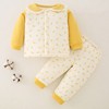 婴儿棉衣套装秋冬扣子，衣服0-1岁2男女宝宝冬装，幼儿棉袄保暖两件套