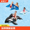 游泳圈充气坐骑大鲨鱼水上玩具成人海豚黑鲸鱼冲浪网红腋下家用
