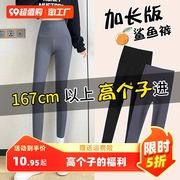 170高个子(高个子)加长鲨鱼，裤女外穿秋季薄款灰色打底裤瑜伽健身女士长裤