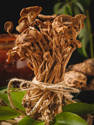 农家茶树菇250/500g特产茶薪菇干货珍珠菇古田小蘑菇冬菇菌菇香菇
