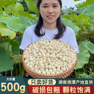 今年新货湘潭磨皮去芯莲子，干货500g特产级食用白莲子(白莲子)百合银耳