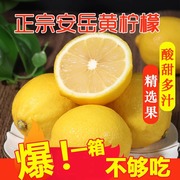 四川安岳黄柠檬(黄柠檬)新鲜水果当季现摘香水柠檬，皮薄多汁柠檬整箱3斤装