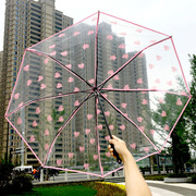 透明雨伞折叠女韩国小清新全自动伞女神加厚森系三折伞学生晴雨伞