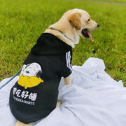 大型犬衣服金毛拉布拉多中型犬幼犬狗狗衣服卫衣秋季冬装卫衣代发