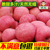 山东烟台苹果新鲜水果，脆甜条纹栖霞红富士当季整箱，10斤大果