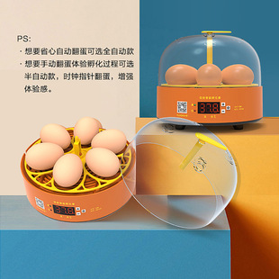 新供孵化箱小鸡孵化器孵小鸡的机器家用孵蛋机全自动小型芦丁鸡品