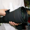 适马300-800mm f5.6 HSM远摄变焦单反镜头恒定光圈佳能尼康口拍鸟