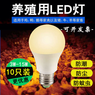 LED养殖灯泡E27螺口3W5W7W9W12W15W20w瓦养鸡蛋鸡鸭舍暖黄光灯泡