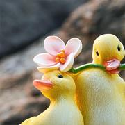 创意可爱鸭子摆件树脂仿真动物，微景观多肉水培，盆花园水池造景装饰
