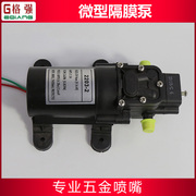 24v 220v微型隔膜泵 自动吸水增压可调喷雾泵小水泵电动增压泵