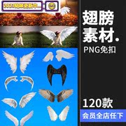 黑白色天使翅膀羽翼png影楼，儿童摄影后期装饰合成设计ps素材