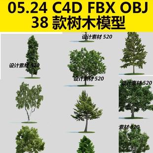 maya C4D FBX OBJ 3D 树木椴树油松柏树梨树雪松模型 自动