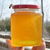 买3送1枣花蜜纯正天然蜂蜜蜂农自产新鲜成熟原蜜枣花蜂蜜500g