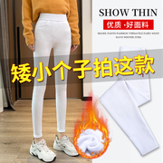 冬季加绒加厚白色打底裤女外穿小个子2022弹力显瘦小脚裤
