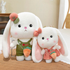 可爱小兔子公仔公主裙萝卜兔子毛绒玩具情侣兔玩偶布娃娃新年礼物