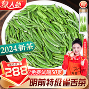 绿大师特级明前雀舌茶2024新茶浓香型高山绿茶，嫩芽春茶叶共500g