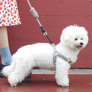 狗狗牵引绳胸背带背心式狗链子小型犬，泰迪柯基遛狗可调节狗绳子